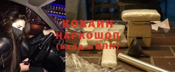 прущие грибы Волоколамск