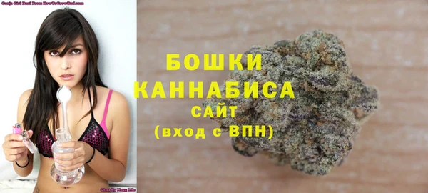 стаф Киренск