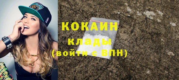 прущие грибы Волоколамск