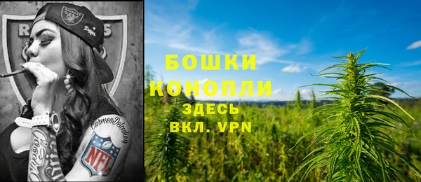 дживик Волосово