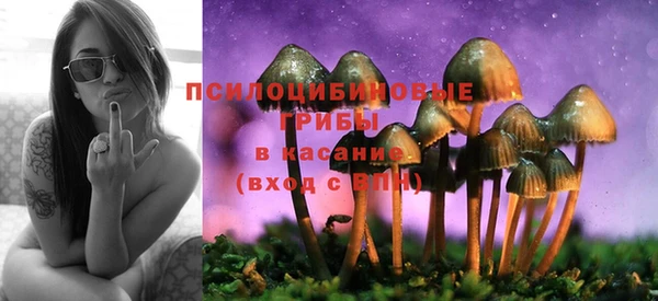 спиды Верея