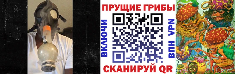 где можно купить   Высоцк  даркнет как зайти  Псилоцибиновые грибы Psilocybe 