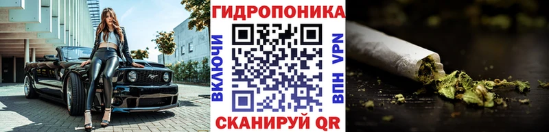 мориарти как зайти  где продают   Высоцк  Бошки марихуана сатива 